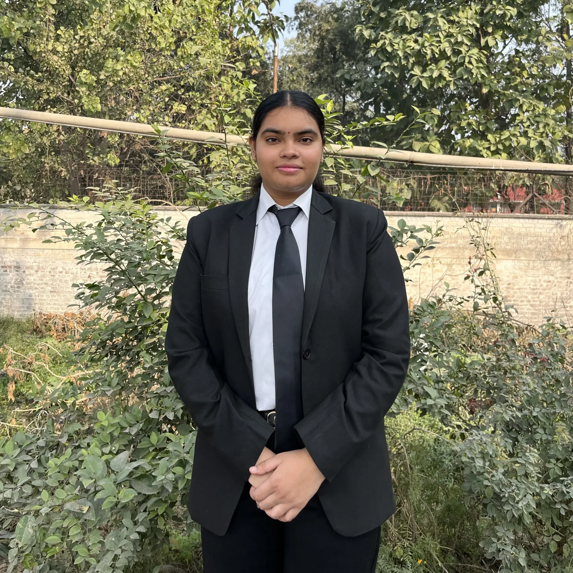 alpine law associates associates